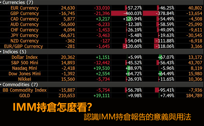 IMM持倉報告查詢